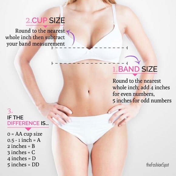 Torrid, Lane Bryant, Champion, Cacique, And more!! - Picture 5 of 6